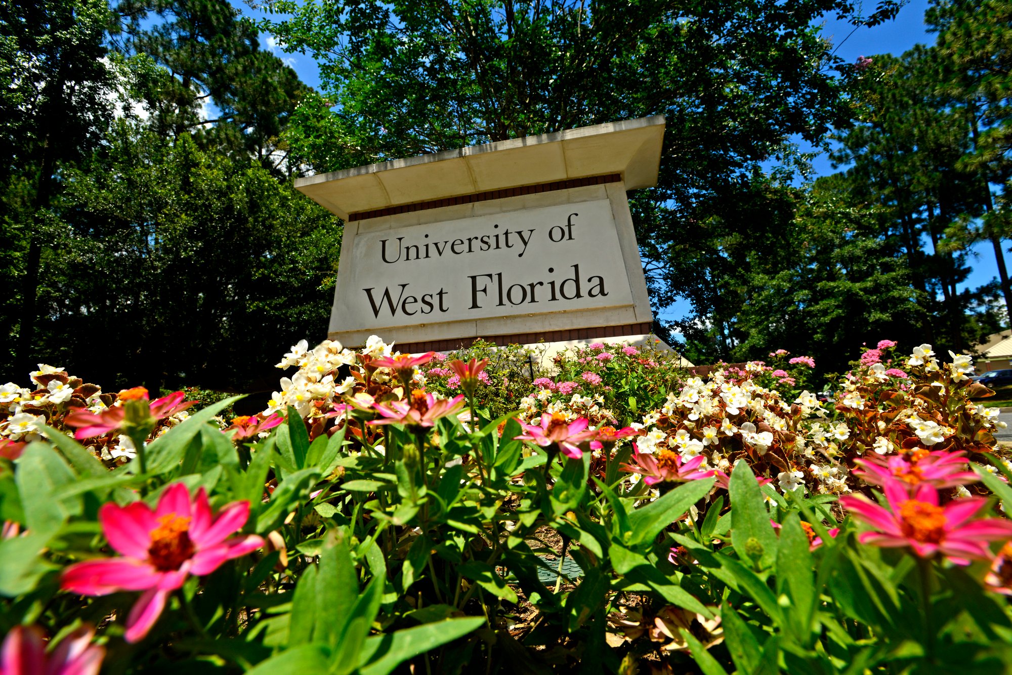 University of West Florida_halfnhalf