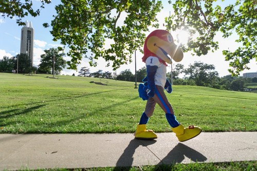 University_of_Kansas_HalfnHalf