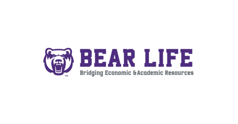 Bear life Micro-Internships