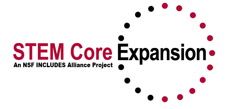 STEM Core is proud to partner with Parker Dewey to connect students with employers offering Micro-Internships.